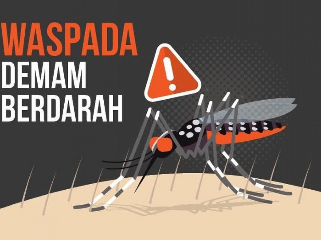 Waspada DBD di Musim Hujan: Genangan Air Jadi Sarang Nyamuk Berbahaya